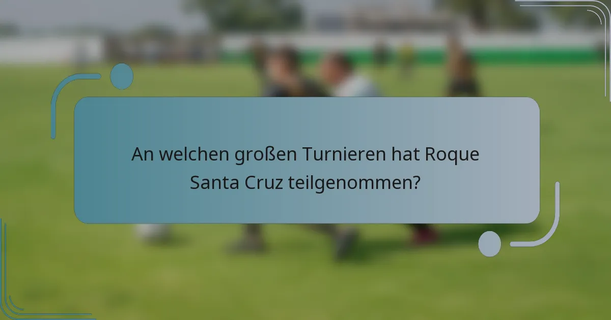 An welchen großen Turnieren hat Roque Santa Cruz teilgenommen?