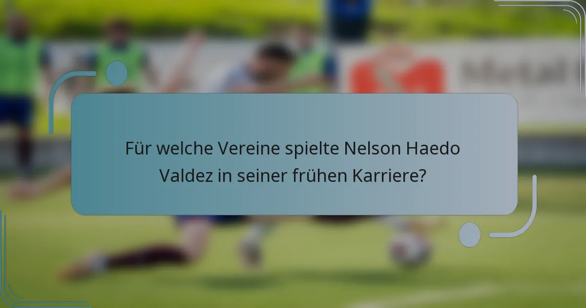 Für welche Vereine spielte Nelson Haedo Valdez in seiner frühen Karriere?