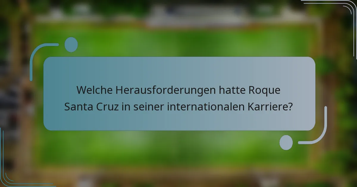 Welche Herausforderungen hatte Roque Santa Cruz in seiner internationalen Karriere?