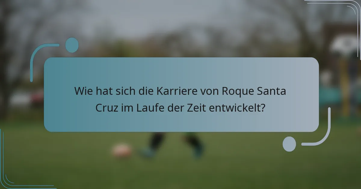 Wie hat sich die Karriere von Roque Santa Cruz im Laufe der Zeit entwickelt?